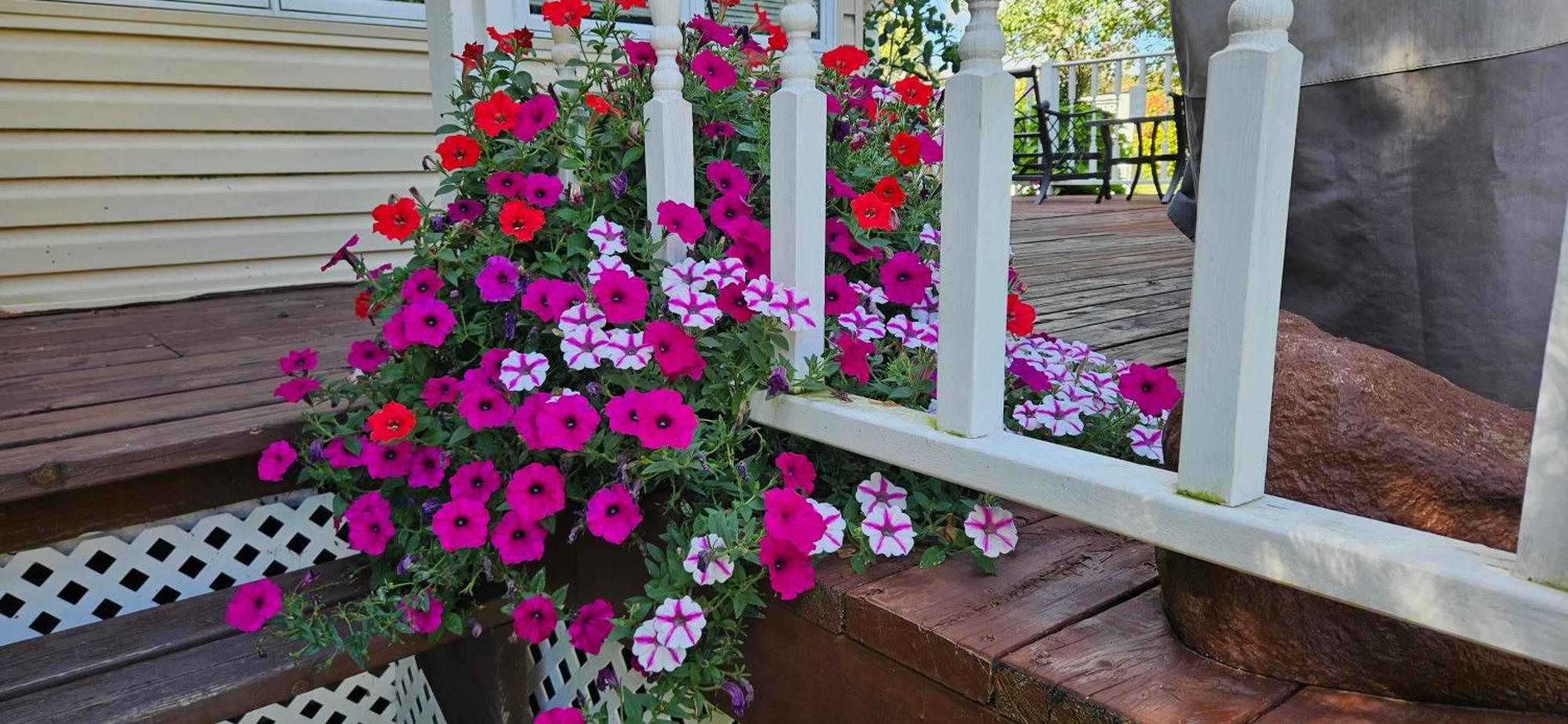 Trickling Waters Retreat Villa Marquette Екстериор снимка