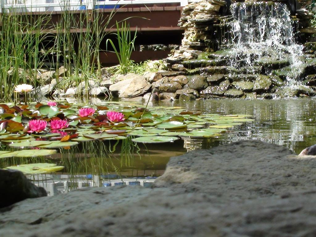 Trickling Waters Retreat Villa Marquette Екстериор снимка