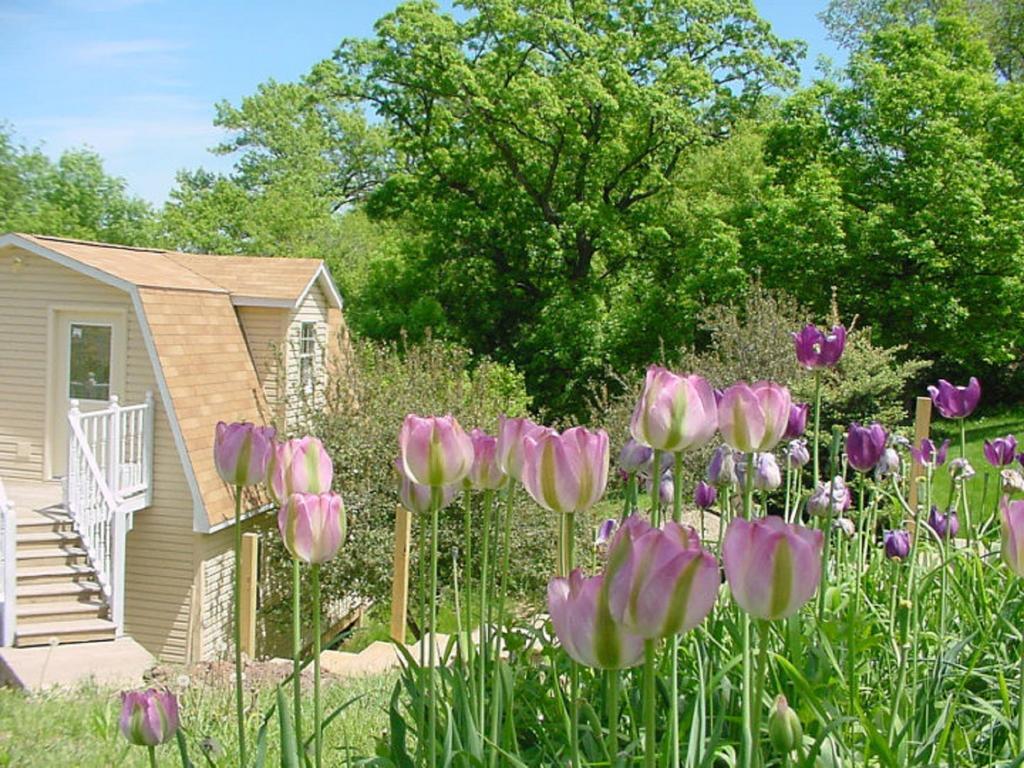 Trickling Waters Retreat Villa Marquette Екстериор снимка