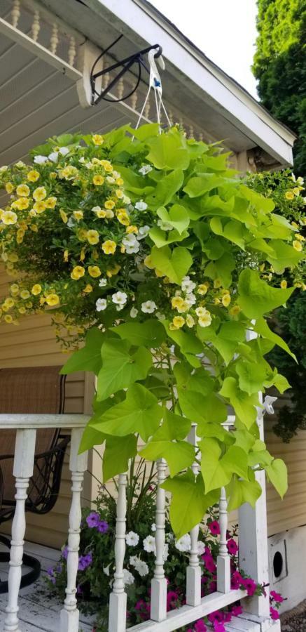 Trickling Waters Retreat Villa Marquette Екстериор снимка